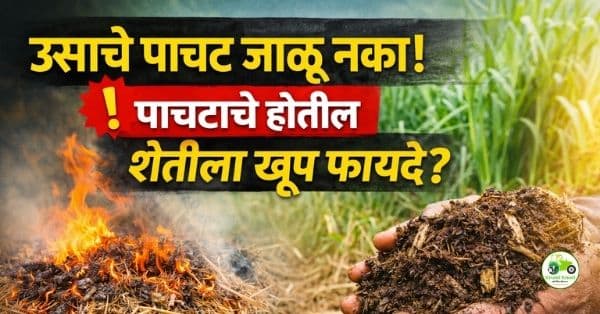 उसाचे पाचट जाळू नका: पाच सरी पाचट व सरी-आड-सरी पाचट पद्धतीने वाढवा ऊस उत्पादन