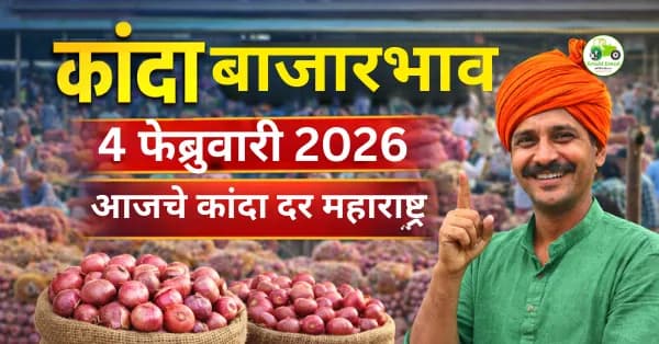 कांदा बाजारभाव 04 फेब्रुवारी 2026 | आजचे कांदा दर महाराष्ट्र