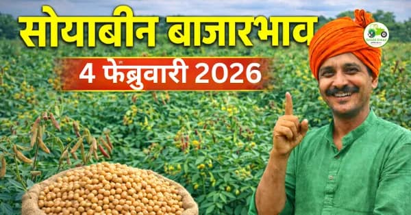 सोयाबीन बाजारभाव 04 फेब्रुवारी 2026 | आजचे सोयाबीन दर महाराष्ट्र