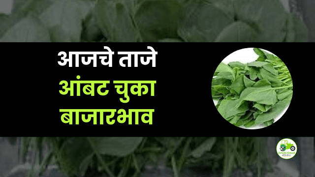 आजचे आंबट चुका बाजारभाव