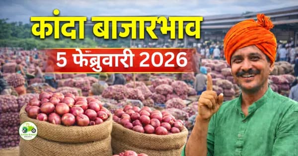 कांदा बाजारभाव 05 फेब्रुवारी 2026 | आजचे कांदा दर, आवक व बाजार विश्लेषण
