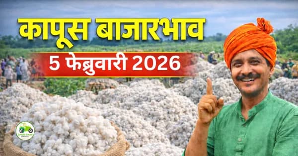 05 फेब्रुवारी 2026 – कापूस बाजारभाव