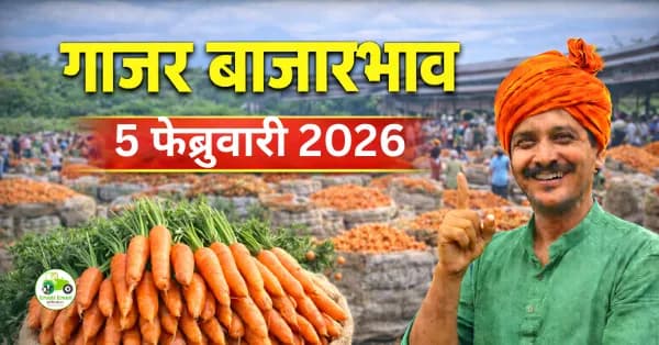 05 फेब्रुवारी 2026 – गाजर बाजारभाव