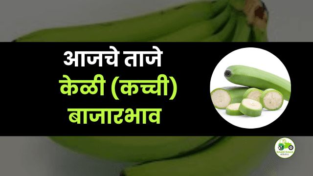 आजचे केळी (कच्ची) बाजारभाव