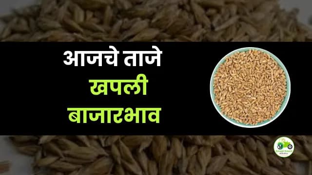 आजचे खपली बाजारभाव