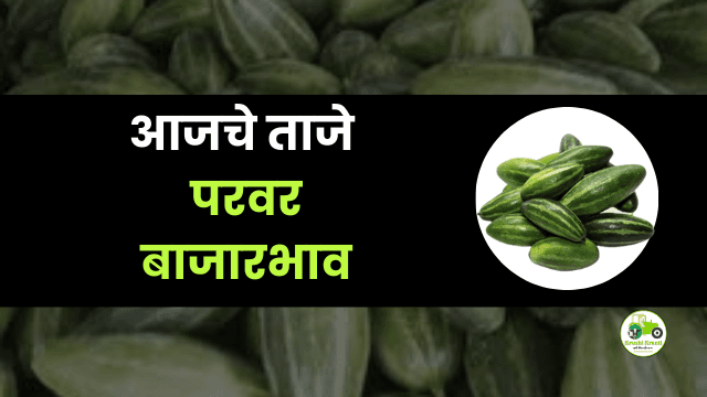 आजचे परवर बाजारभाव