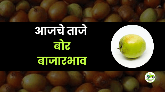 आजचे बोर बाजारभाव