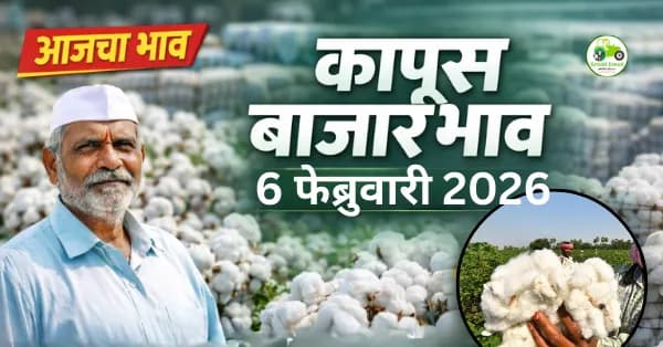 06 फेब्रुवारी 2026 – कापूस बाजारभाव