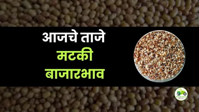 आजची मटकी बाजारभाव