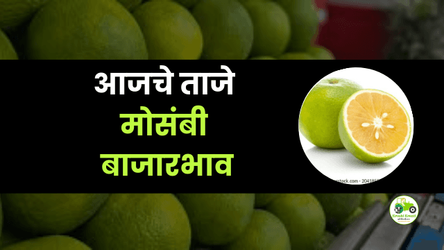 आजचे मोसंबी बाजारभाव