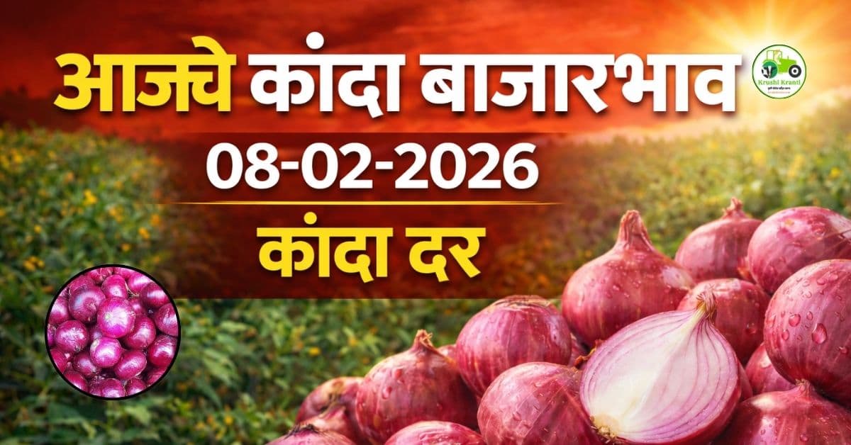 आजचे कांदा बाजारभाव | 08 फेब्रुवारी 2026 कांदा दर