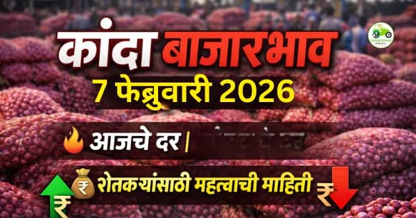 कांदा बाजारभाव 07 फेब्रुवारी 2026