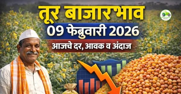 तूर बाजारभाव | 09 फेब्रुवारी 2026