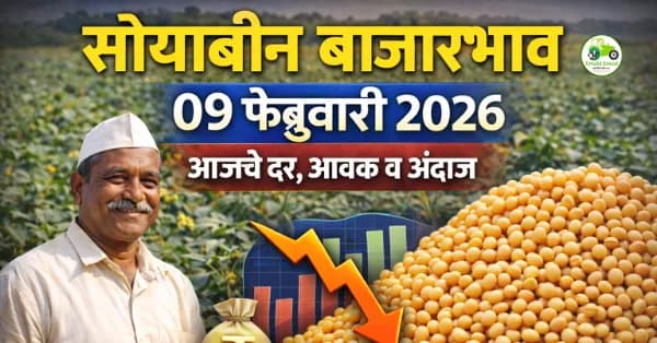 सोयाबीन बाजारभाव | 09 फेब्रुवारी 2026