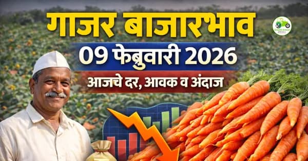 गाजर बाजारभाव | 09 फेब्रुवारी 2026