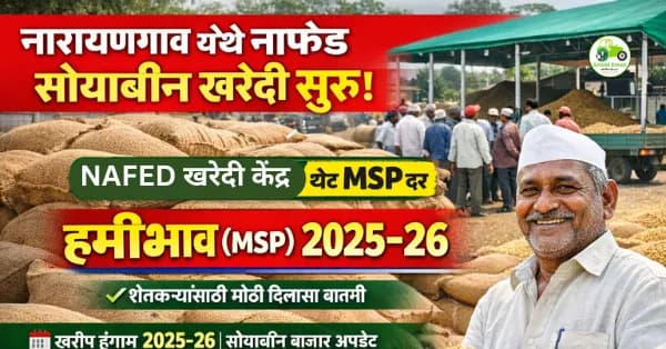नारायणगाव (ता. जुन्नर) येथे नाफेडचे सोयाबीन हमीभाव खरेदी केंद्र