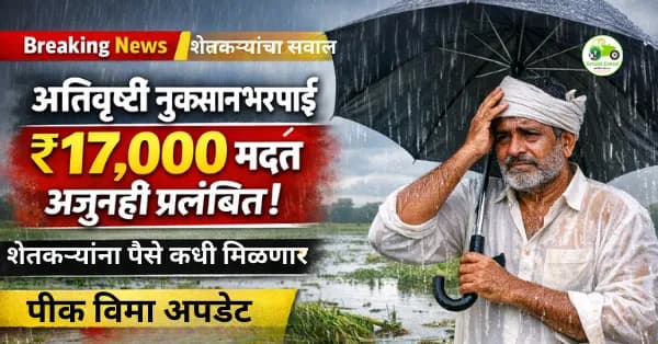 अतिवृष्टी नुकसानभरपाई: १७,००० रुपये मदत अजूनही प्रलंबित | पीक विमा