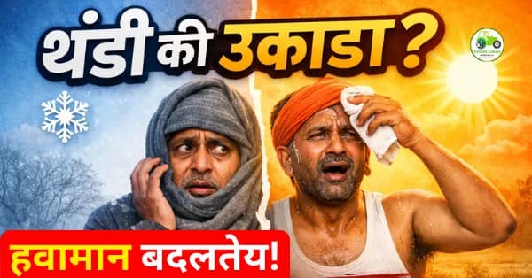 महाराष्ट्रात गारठा वाढणार, दुपारी उकाडा | किमान तापमानात घट कायम