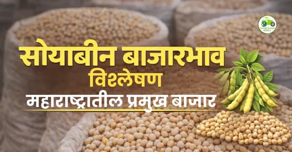 सोयाबीन बाजारभाव आज | नागपूर, अकोला, अमरावती दर अपडेट