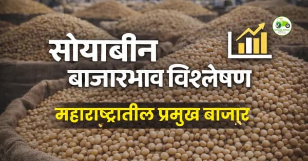 सोयाबीन बाजारभाव 12 फेब्रुवारी 2026 | अकोला, अमरावती, नागपूर दर
