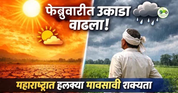 फेब्रुवारीत उकाडा वाढला; 17–18 फेब्रुवारीला पावसाची शक्यता