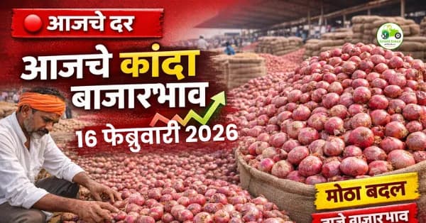 कांदा बाजारभाव 16 फेब्रुवारी 2026: दर ₹2,050 पर्यंत
