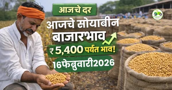 सोयाबीन बाजारभाव 16 फेब्रुवारी 2026 | महाराष्ट्रातील आजचे ताजे दर व संपूर्ण विश्लेषण