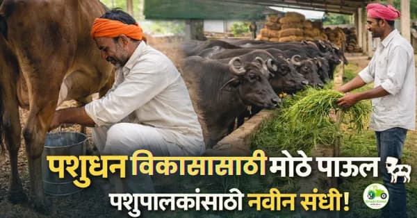 महाराष्ट्रात पशुसंवर्धन योजनांना चालना | अतिरिक्त निधीमुळे पशुपालकांना मोठा दिलासा