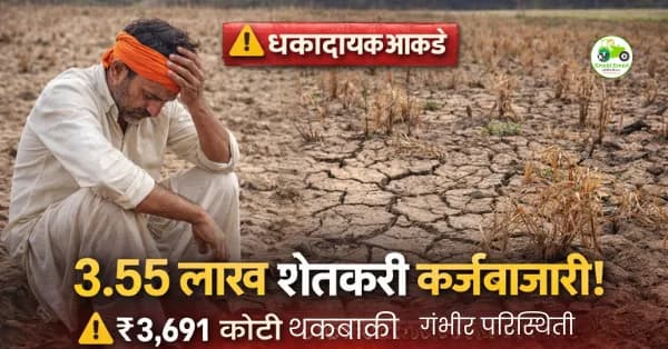अमरावती विभागात 3.55 लाख शेतकरी कर्जबाजारी | ₹3,691 कोटी पीककर्ज थकबाकीची धक्कादायक स्थिती
