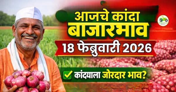 कांद्याच्या बाजारभावाचा ताजा अंदाज: पुढील काळात दर स्थिर राहण्याची शक्यता