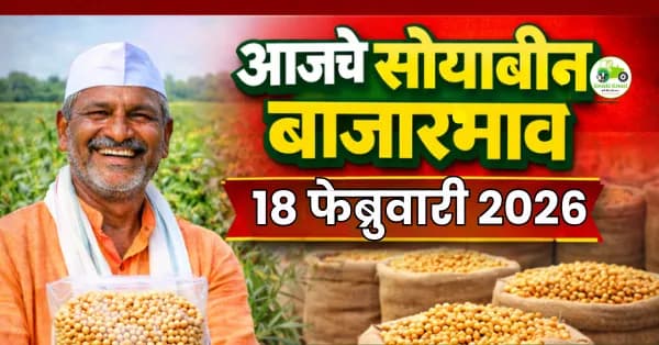 सोयाबीन दर ₹6,000 पर्यंत; आजचा बाजारभाव अपडेट