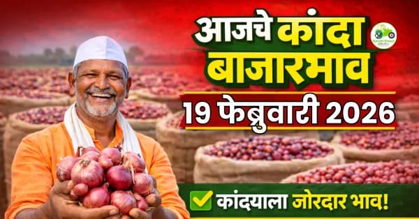 कांदा बाजारभाव अंदाज: आवक वाढल्याने दर स्थिर राहण्याची शक्यता - फेब्रुवारी २०२६

