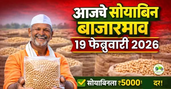 सोयाबिन बाजारभाव अंदाज: फेब्रुवारी २०२६ मध्ये दर स्थिर राहतील का वाढतील?
