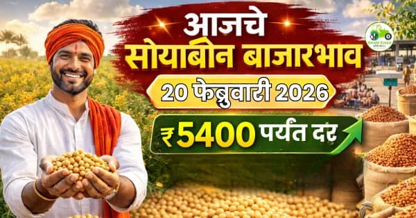  सोयाबीन बाजारभाव 20 फेब्रुवारी 2026 | आजचे हरभरा दर महाराष्ट्र
