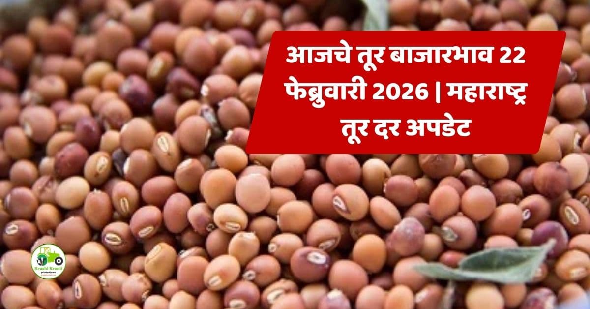 आजचे तूर बाजारभाव 22 फेब्रुवारी 2026 | महाराष्ट्र तूर दर अपडेट