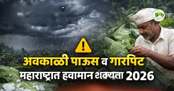 महाराष्ट्रात अवकाळी पाऊस व गारपीट शक्यता | केळी पिकाला धोका व शेतकरी सतर्क