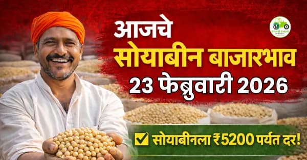  सोयाबीन बाजारभाव 23 फेब्रुवारी 2026 | आजचे दर महाराष्ट्र
