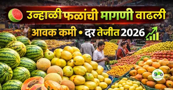 उन्हाळी फळांची मागणी वाढली | आवक कमी, दर टिकून व तेजीत 2026