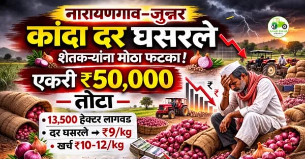 नारायणगाव-जुन्नर कांदा संकट | दर घसरल्याने शेतकऱ्यांना मोठा तोटा