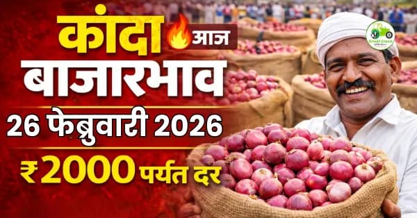आजचे कांदा बाजारभाव 26 फेब्रुवारी 2026 | महाराष्ट्र ताजे दर