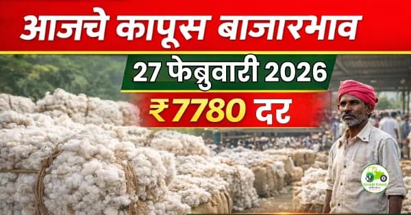 आजचे कापूस बाजारभाव 27 फेब्रुवारी 2026 | महाराष्ट्रातील ताजे दर