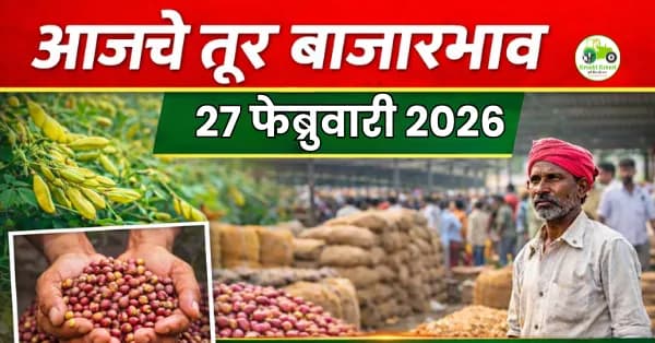 आजचे तूर बाजारभाव 27 फेब्रुवारी 2026 | महाराष्ट्रातील ताजे दर