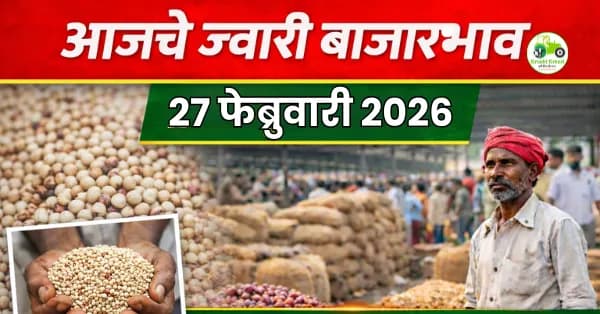 आजचे ज्वारी बाजारभाव 27 फेब्रुवारी 2026 | महाराष्ट्रातील ताजे दर