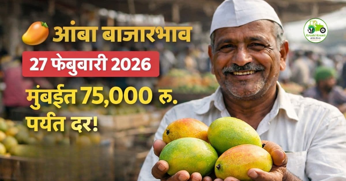 आंबा बाजारभाव 27 फेब्रुवारी 2026 | मुंबई, पुणे, सोलापूर आजचे ताजे दर