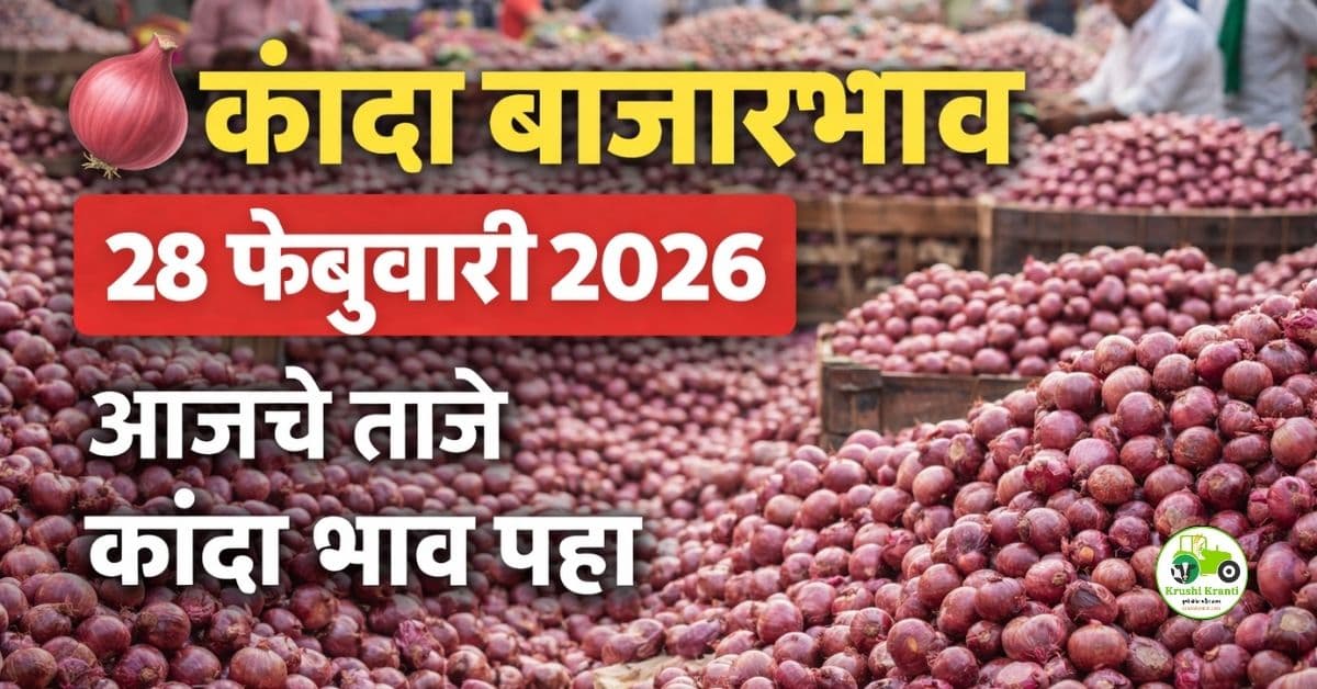 कांदा बाजारभाव 28 फेब्रुवारी 2026 | चांदवड, पिंपळगाव, नागपूर आजचे ताजे दर