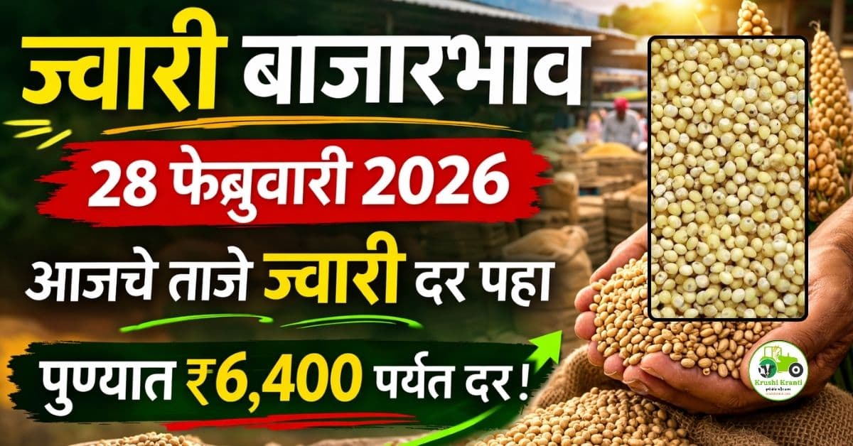 ज्वारी बाजारभाव 28 फेब्रुवारी 2026 | आजचे ताजे ज्वारी दर महाराष्ट्र