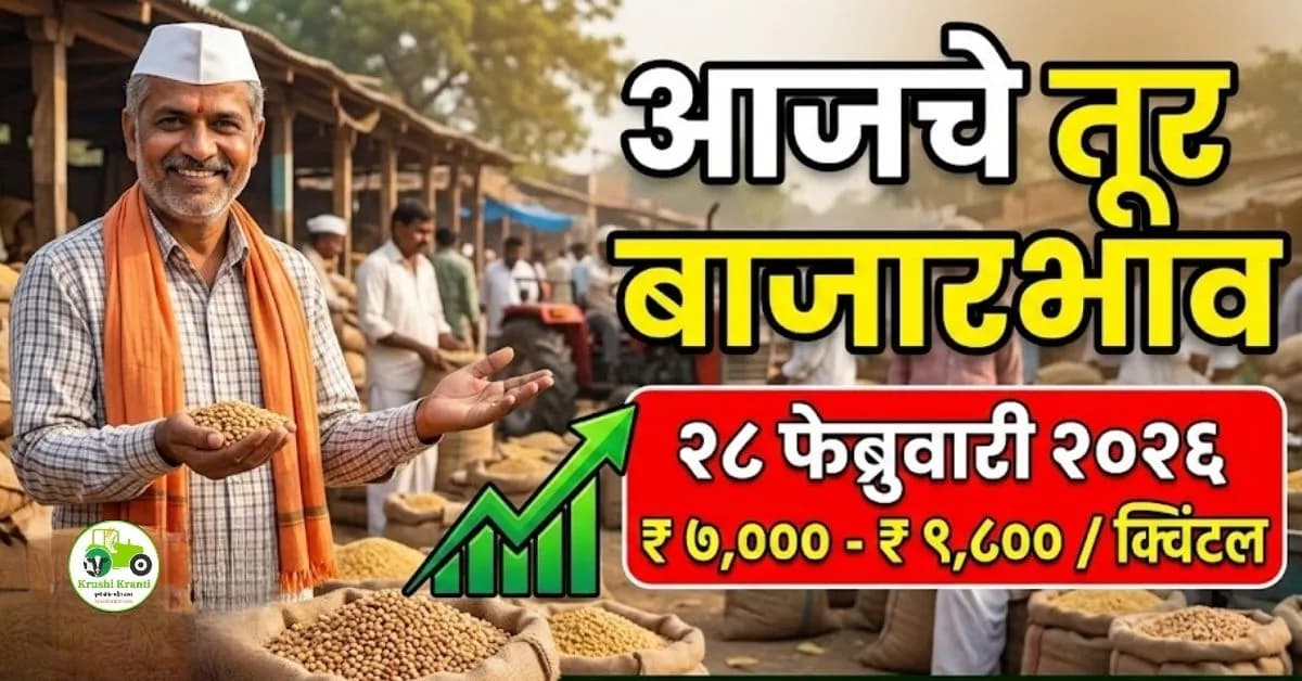 तूर बाजारभाव 28 फेब्रुवारी 2026 | आजचे ताजे तूर दर महाराष्ट्र