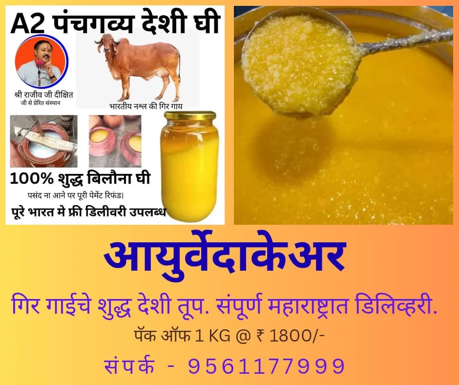 देशी गिर गाईचे बिलोना तूप | 1 किलो शुद्ध घरगुती तूप उपलब्ध