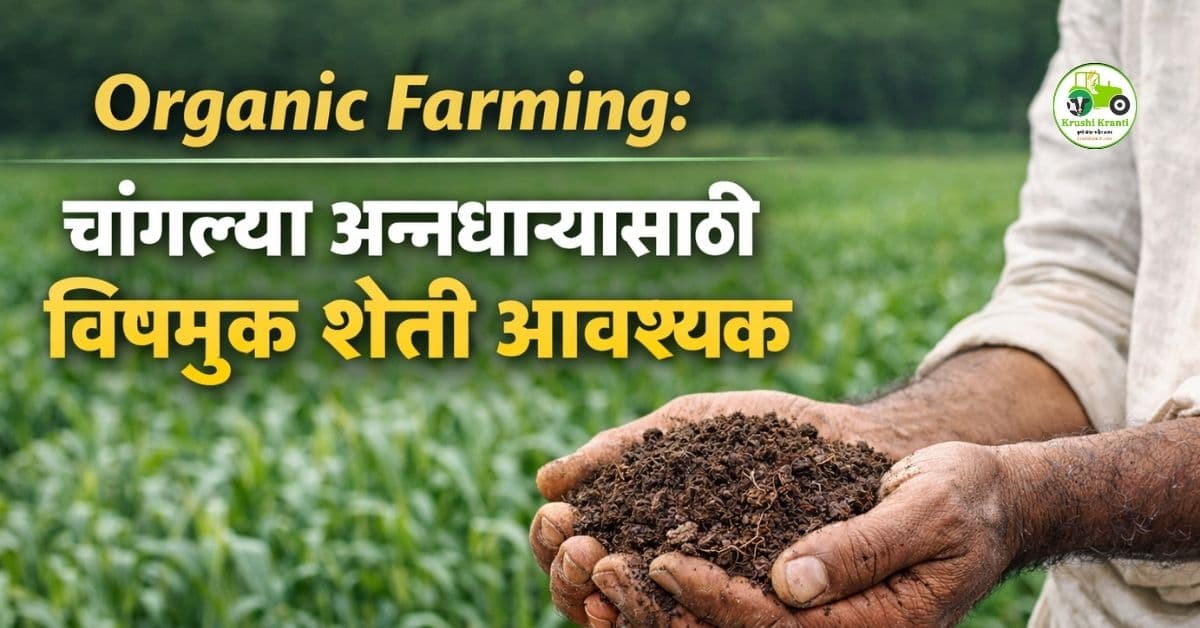 Organic Farming: चांगल्या अन्नधान्यासाठी विषमुक्त शेती आवश्यक