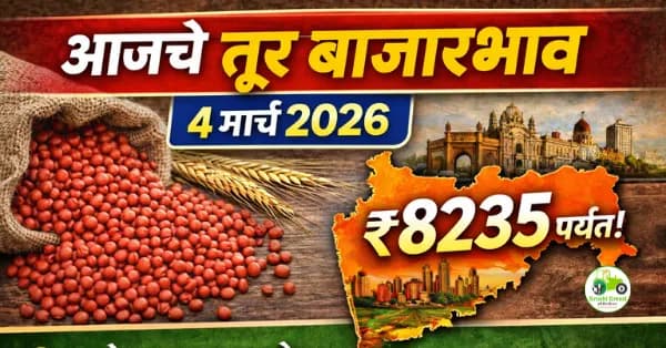 आजचे तूर बाजारभाव 4 मार्च 2026 | महाराष्ट्रातील प्रमुख मंडई दर
